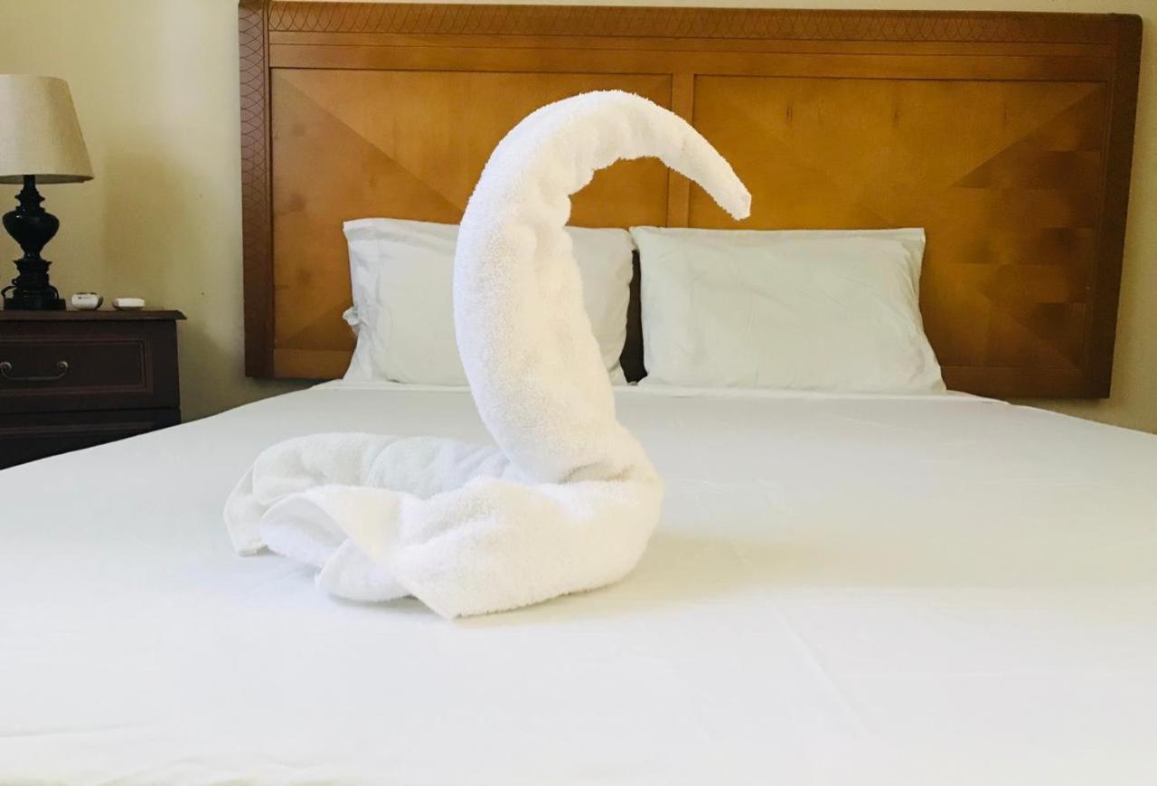 Kudawecha 40 Aparthotel Noord Ngoại thất bức ảnh